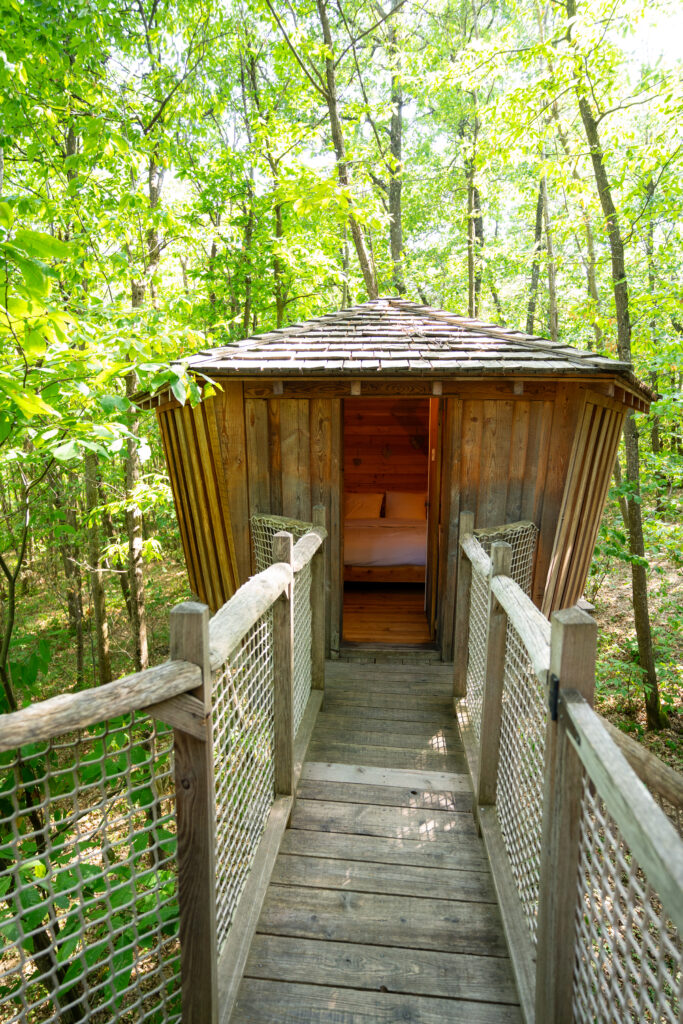 Cabane l'Amande - Cabanes de Fontfroide