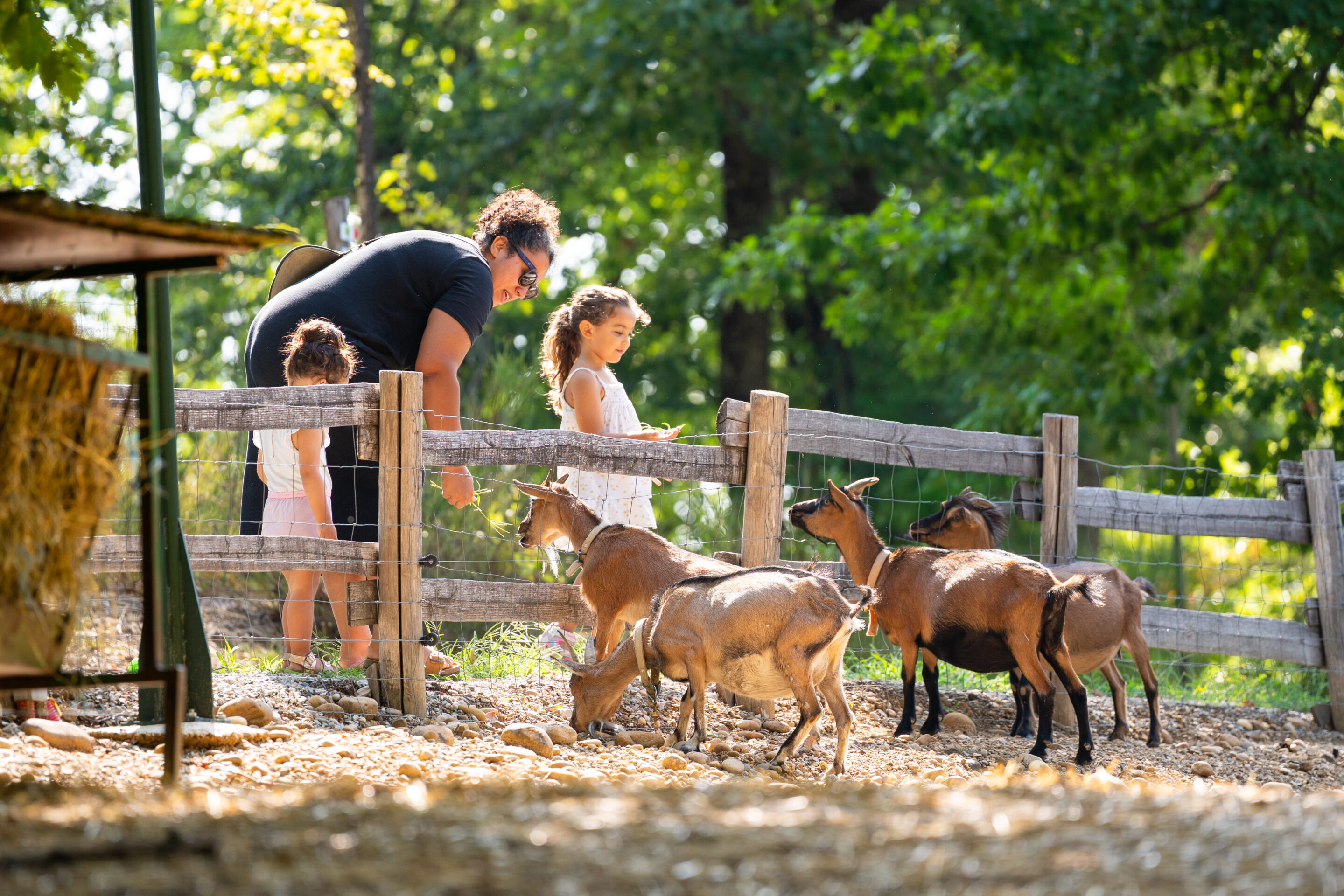En famille