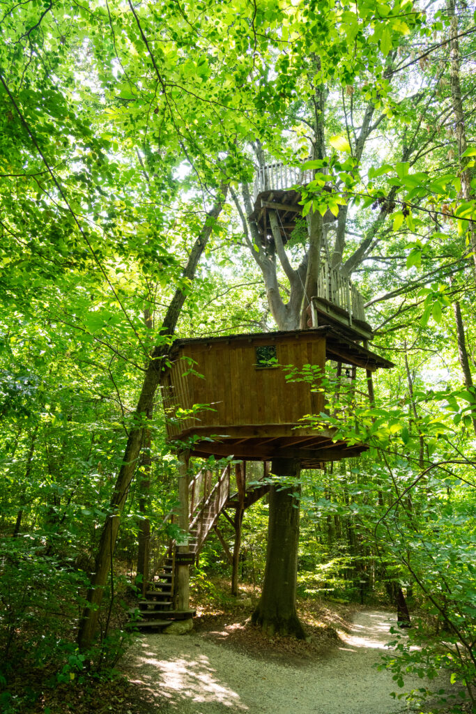 La Rêveuse - Cabanes de Fontfroide